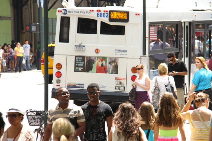 Crowd crossing behind a city bus carrying the Queens Zoo bus tail