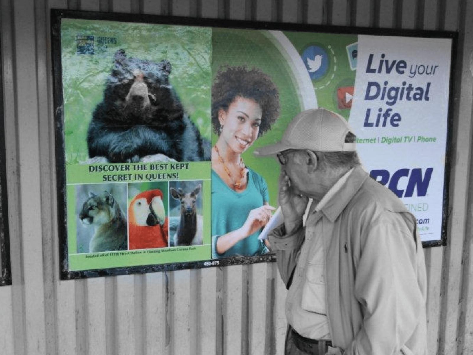 Queens Zoo one-sheet poster with a bear on a Manhattan subway platform