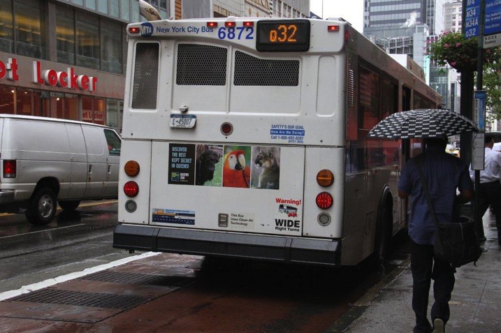Queens Zoo bus tail on a Q32 city bus pulling away on a rainy street